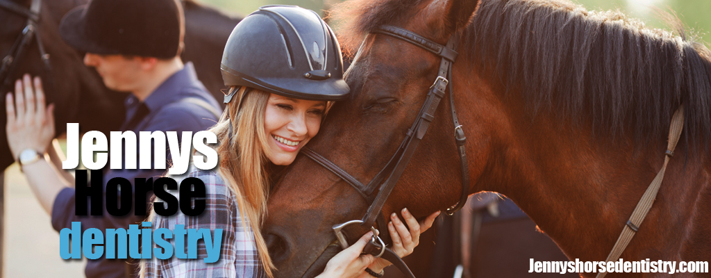 Horse dentistry