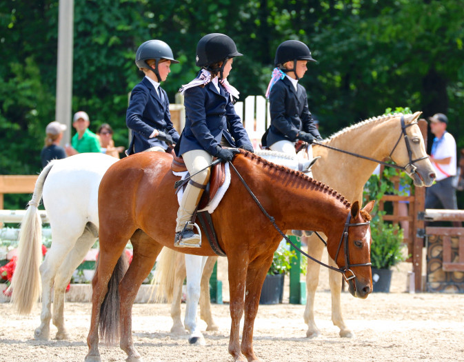 How to know what type of saddle to buy ?